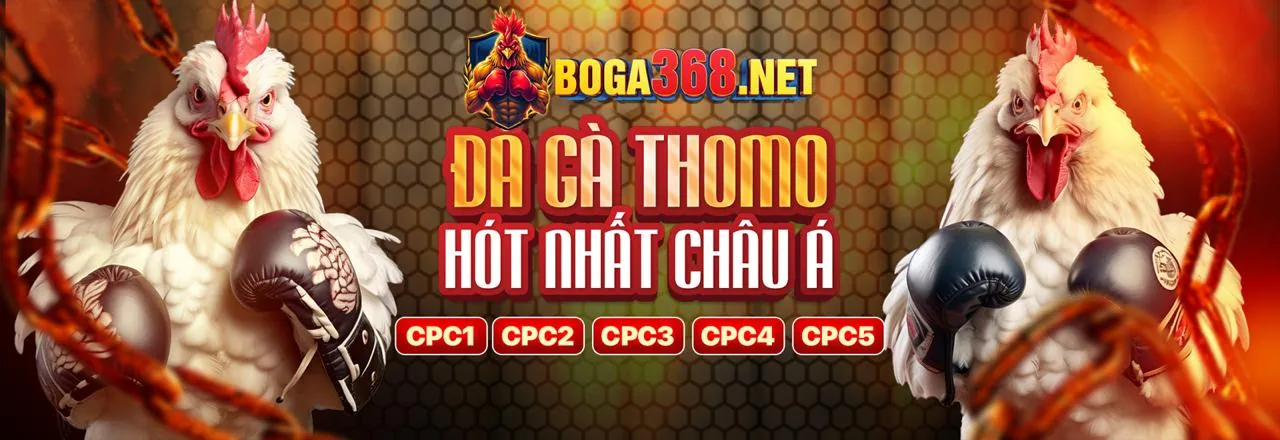 Đá Gà Trực Tuyến J33 Link Vào 2026